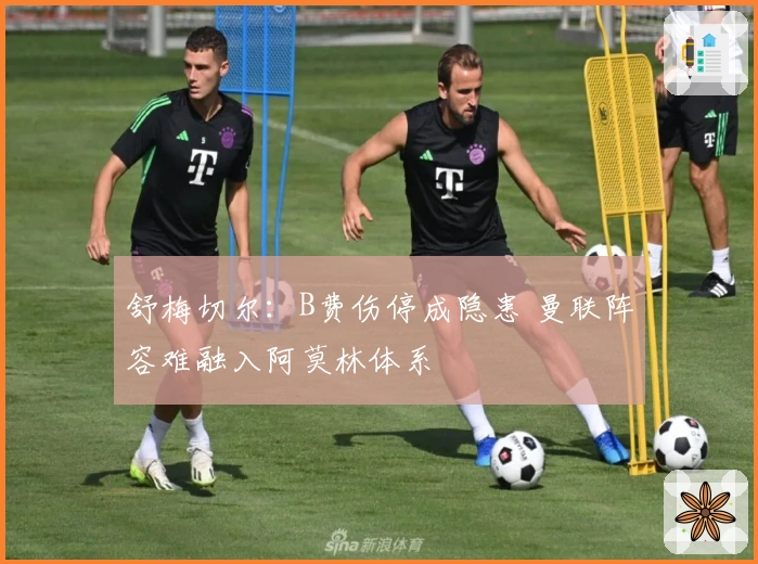 舒梅切尔：B费伤停成隐患 曼联阵容难融入阿莫林体系
