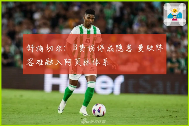 舒梅切尔：B费伤停成隐患 曼联阵容难融入阿莫林体系