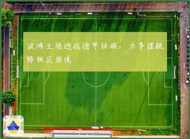 波鸿主场迎战德甲劲旅，力争摆脱降级区困境